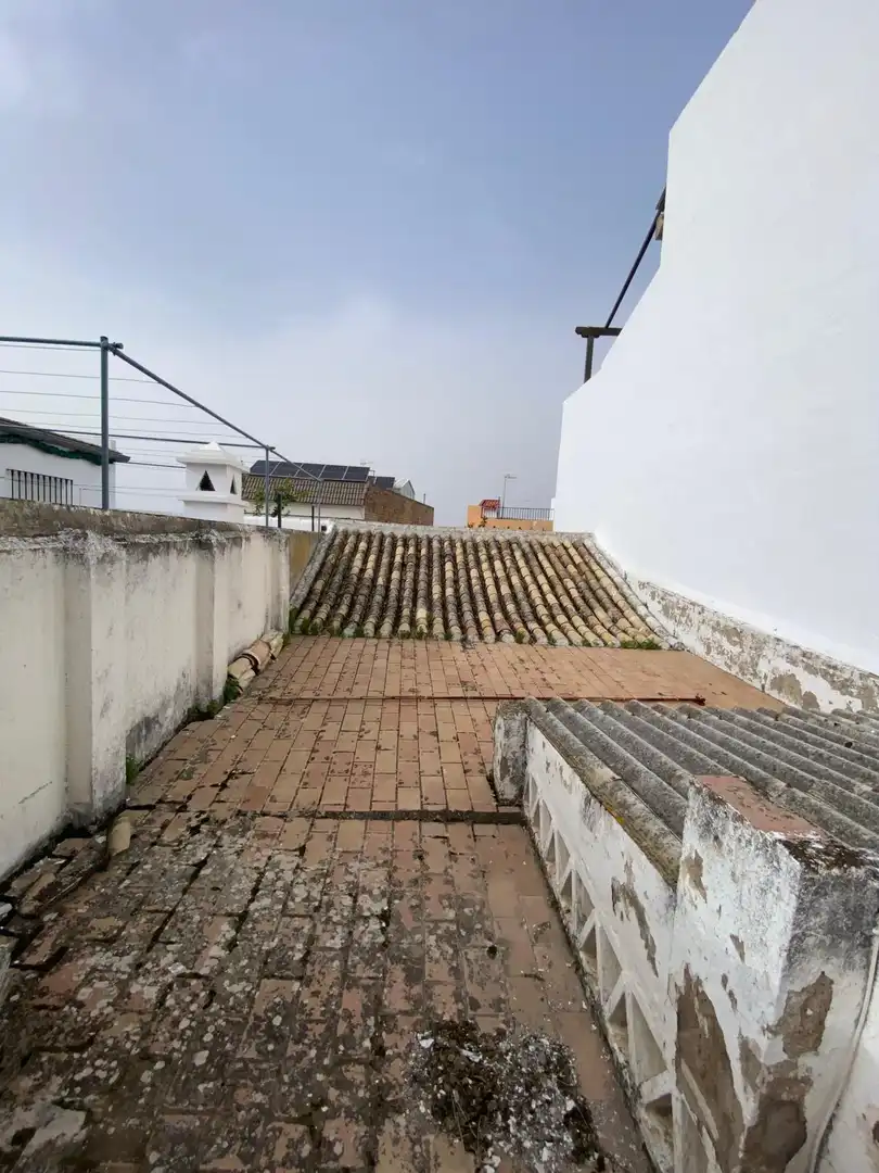 Vista exterior de Casa o chalet en venta en Morón de la Frontera