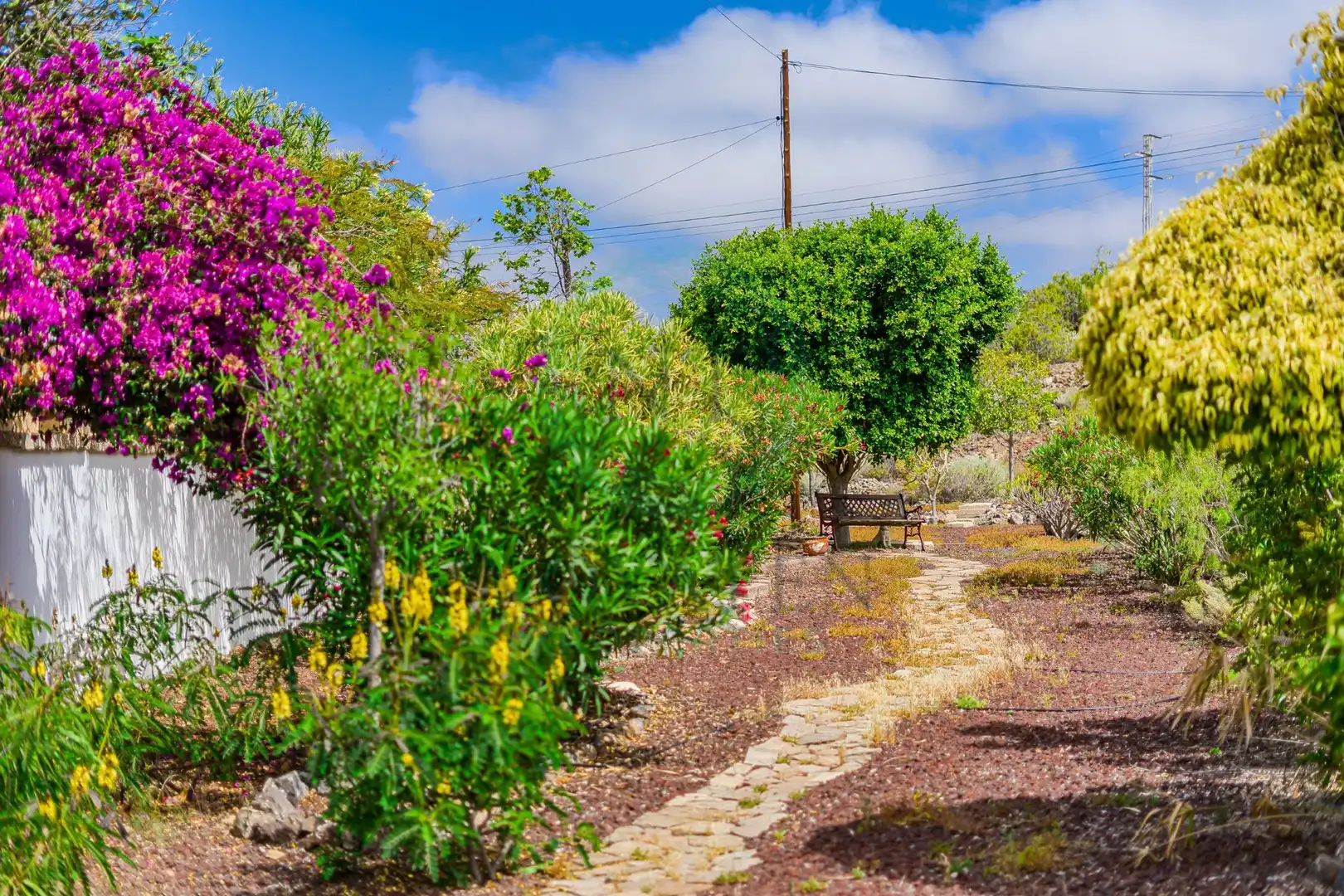 House with garden for sale in Playa de San Juan, imagen 5