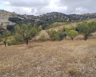 Finca rústica en venda a Vélez-Rubio