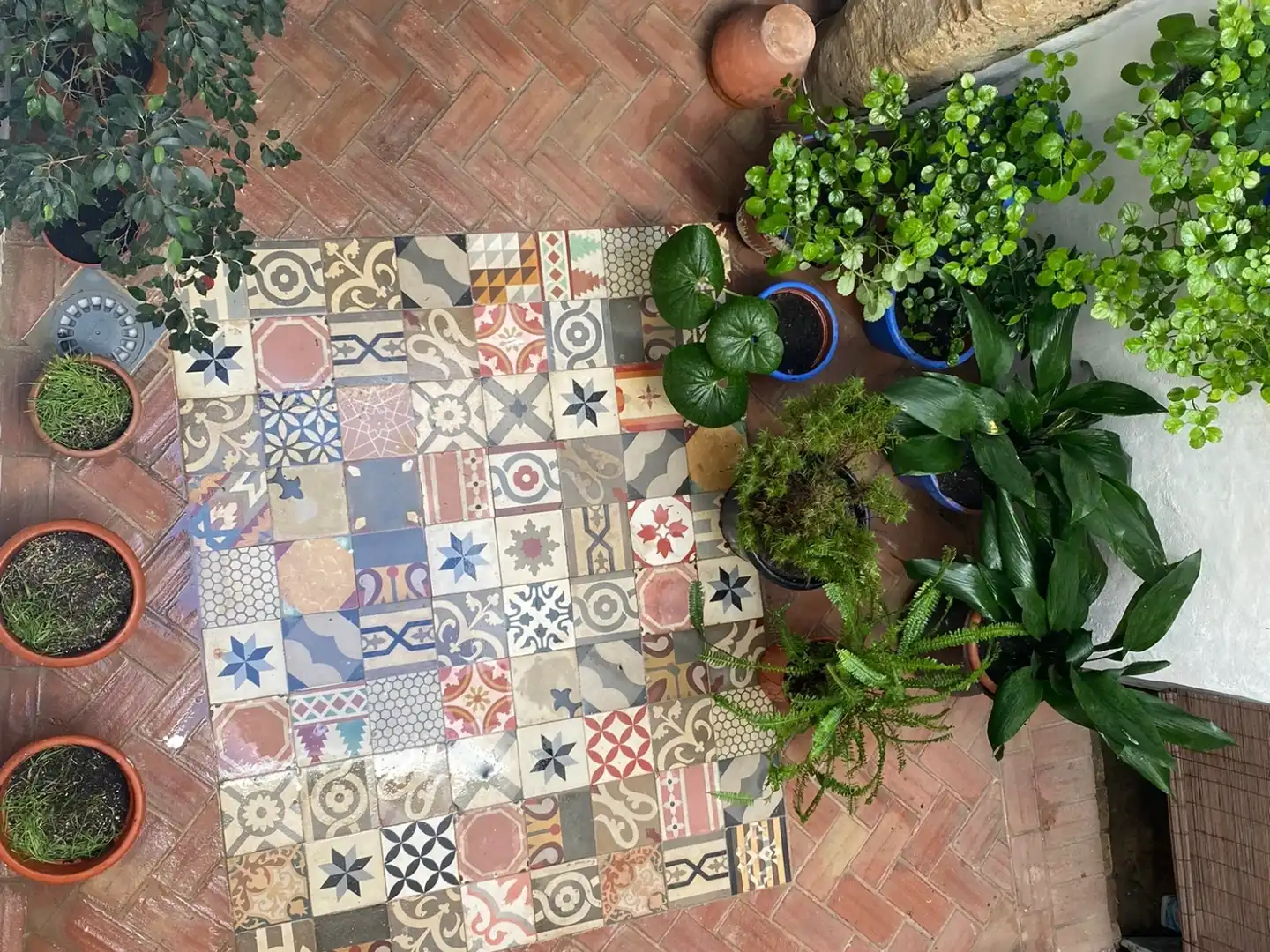 Maison avec terrasse à vendre à Vejer, imagen 2
