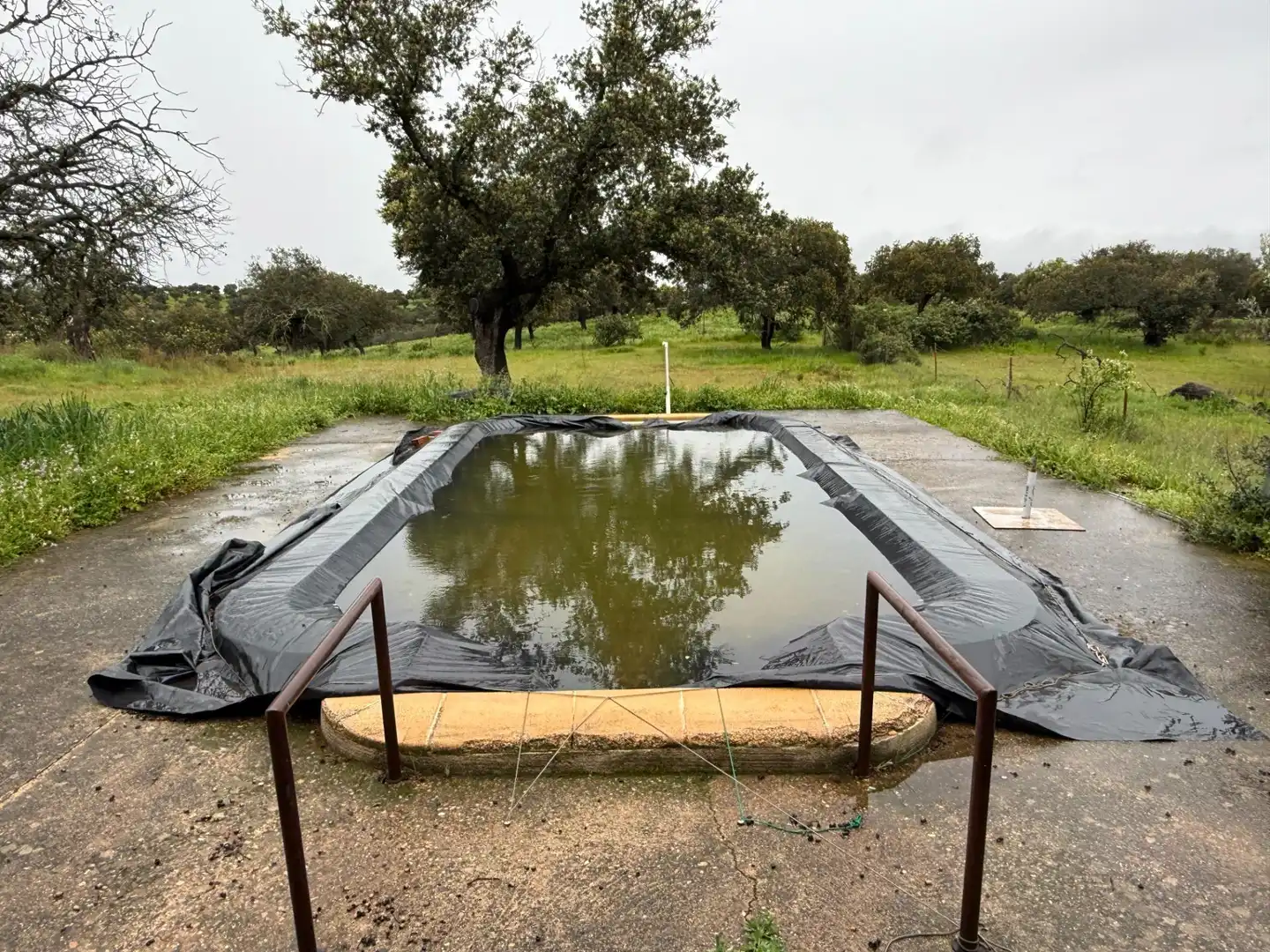 Terreny rústic en venda a Polígono POLíGONO 20 PARAJE 160 DEHESA DE ALFILEJO 25, imagen 16