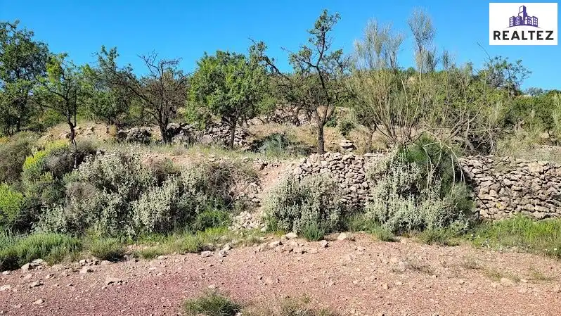 Rural land for sale in Felix, imagen 4