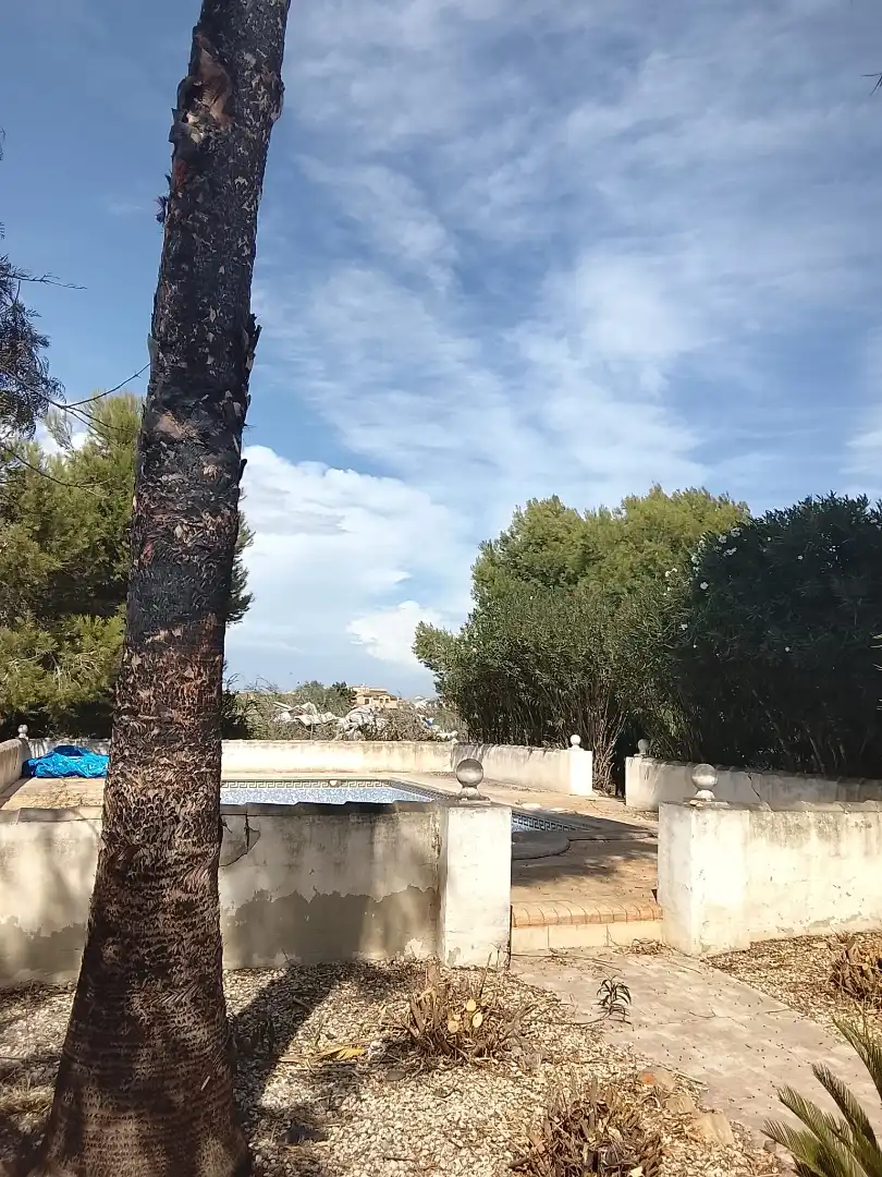Xalet amb piscina en venda a Avenida de Almoradí 35, imagen 28