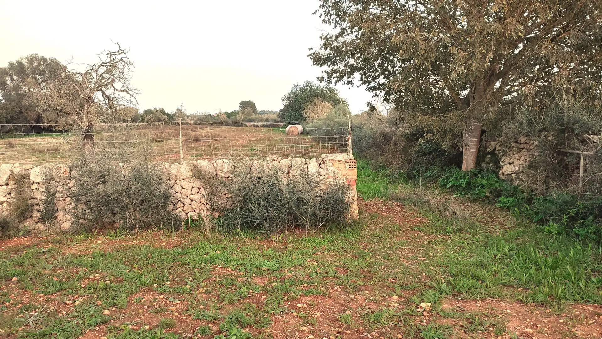 Rustikales Grundstück zum Verkauf in Poligono Poligon 25 1334, imagen 3