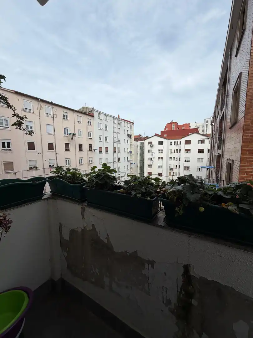 Pis amb terrassa en venda a Calixto Diez Kalea, imagen 8