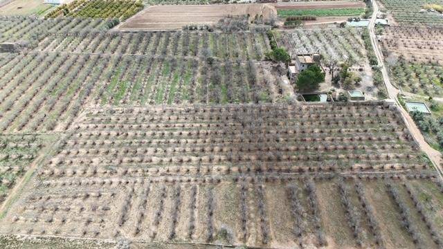 Terreno residencial en Venta en PDA PLANES DEL ROQUÍS POL 3 PARC. 47 en Riudoms