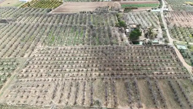 Terrenys i solars en venda a PDA PLANES DEL ROQUÍS POL 3 PARC. 47