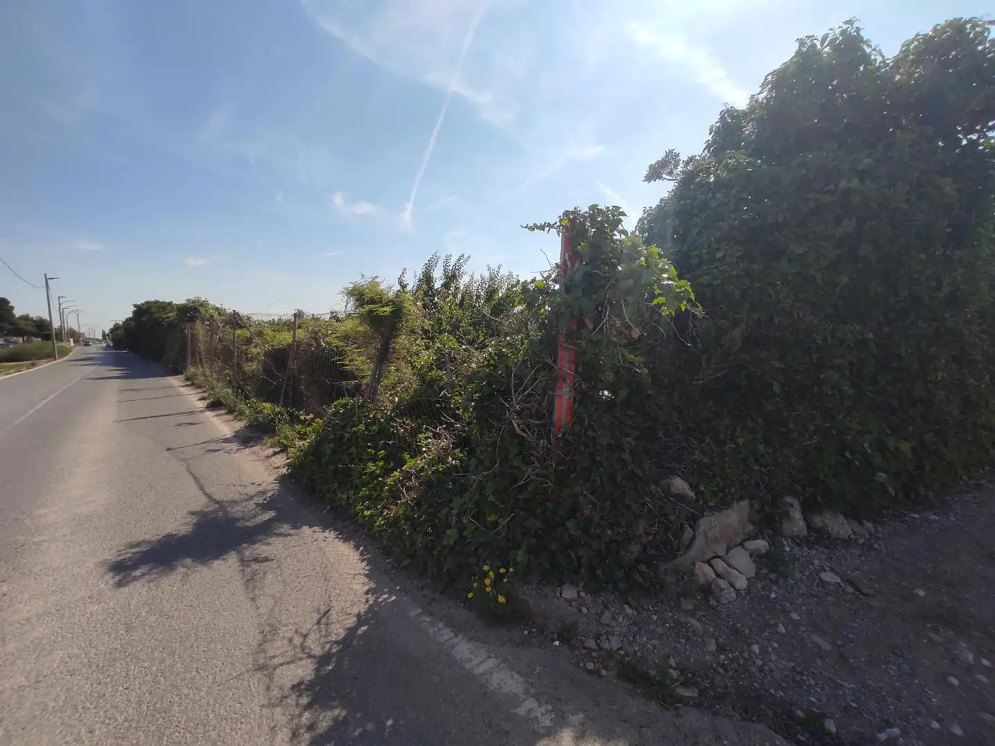 Land for sale in Valencia