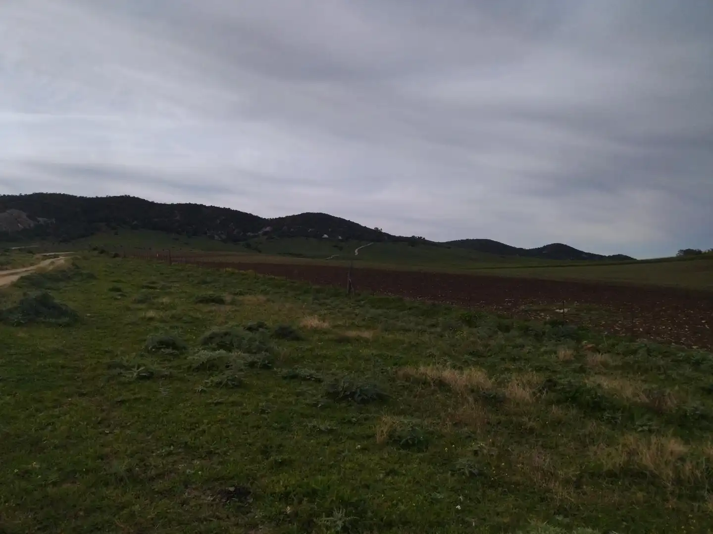 Terreni e lotti in vendita a Medina Sidonia, imagen 43
