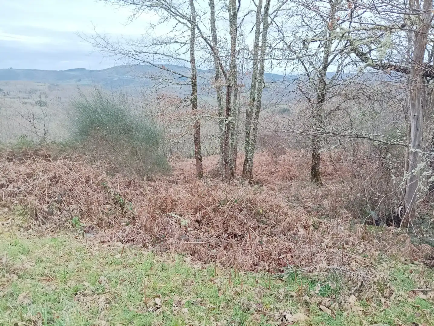 Finca rústica en venta en Becerreá