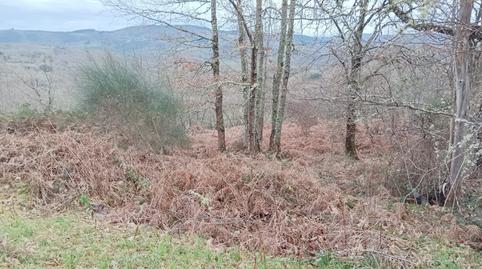 Foto 3 de Finca rústica en venda a Avenida Madrid, Becerreá, Lugo