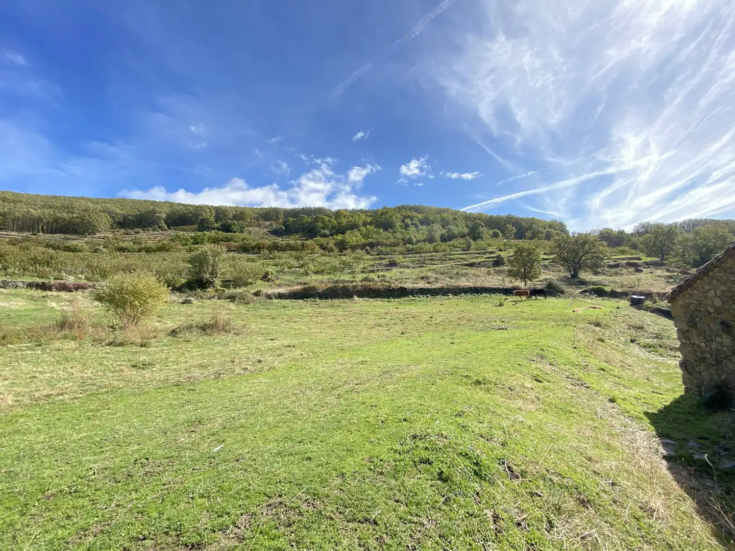 Terreni e lotti in vendita a Barrado, imagen 19