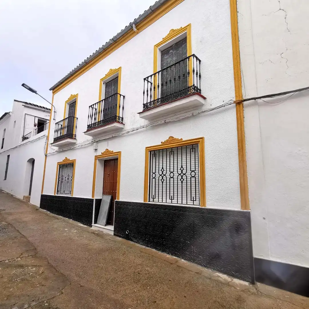 Vista exterior de Casa o chalet en venta en Fuentes de León con Amueblado y Balcón