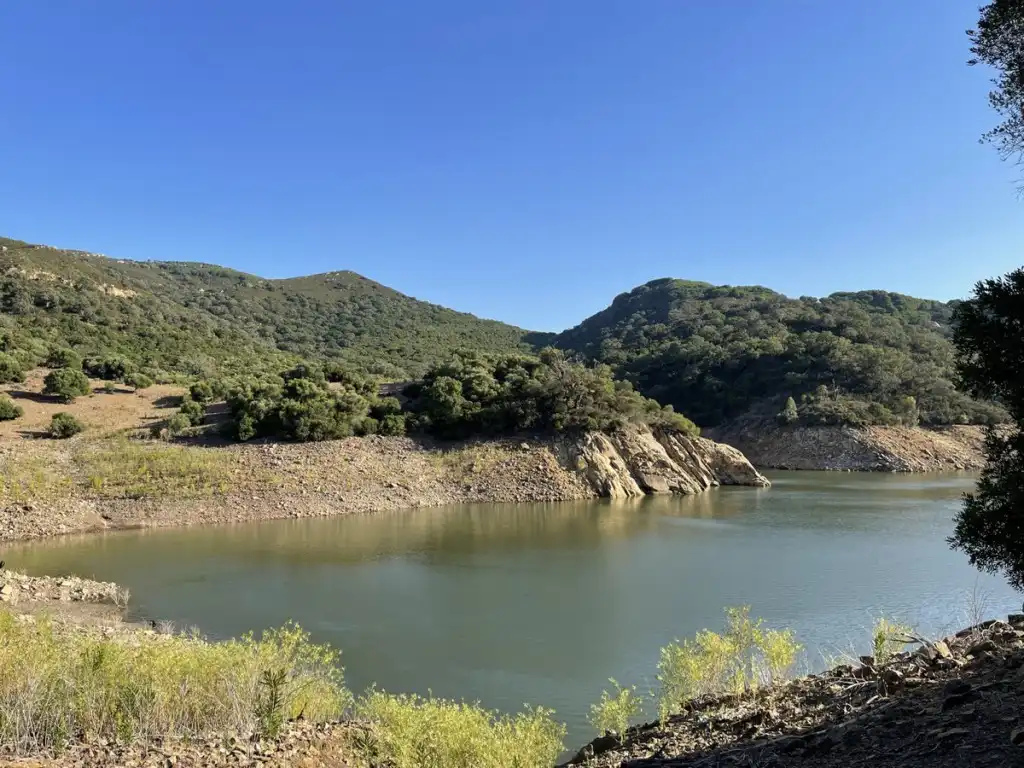 Exterior view of Country homes for sale in Castellar de la Frontera  with Private garden
