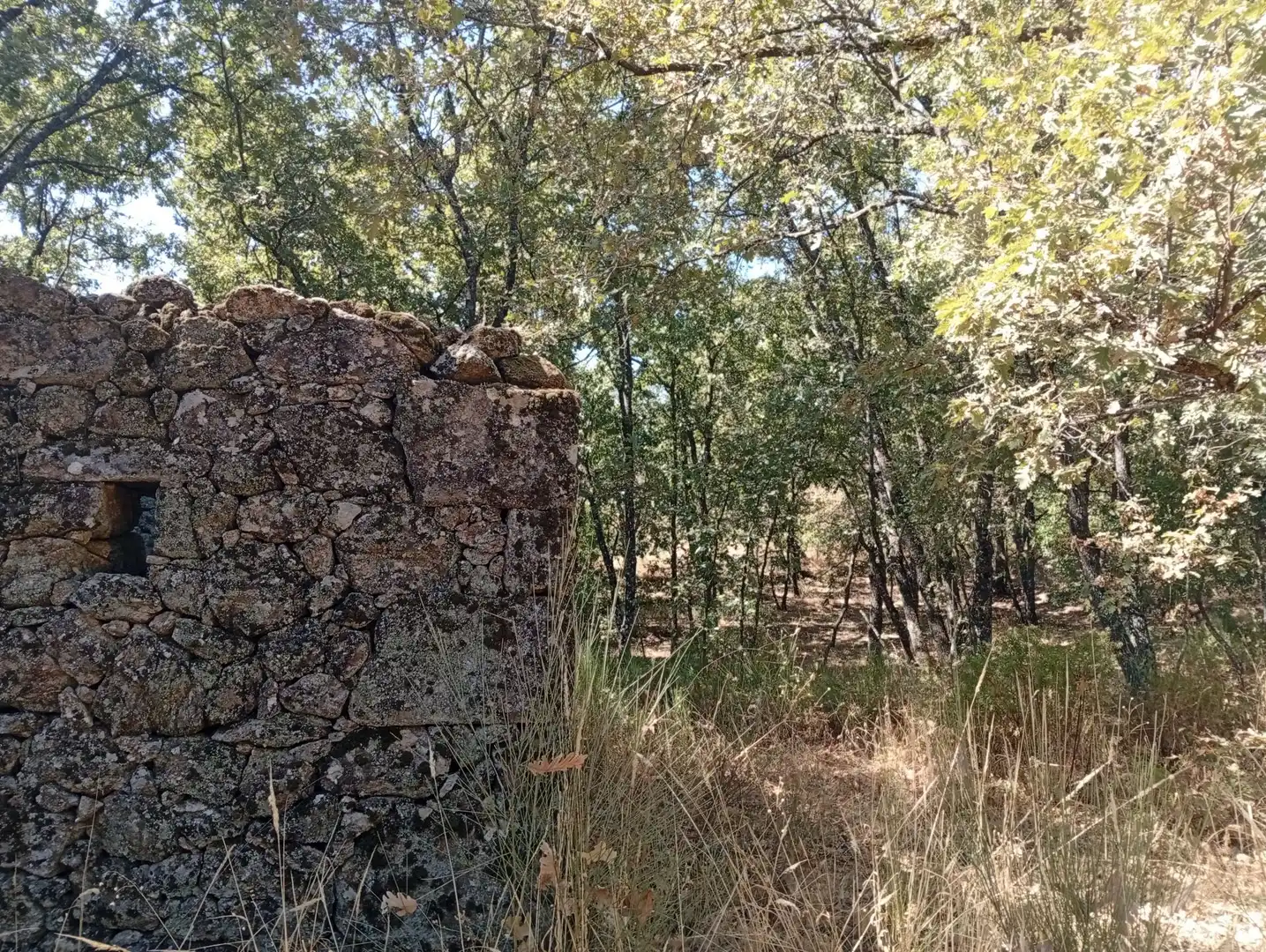 Terreni e lotti in vendita a Villanueva de la Vera, imagen 41