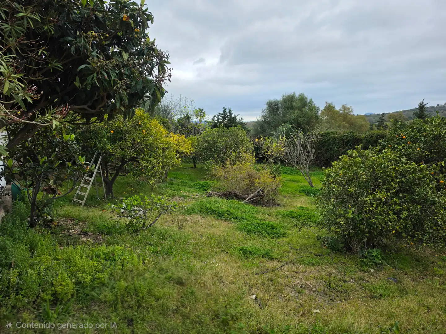 Terreni e lotti in vendita a La Granja - La Colina - Los Pastores, imagen 10