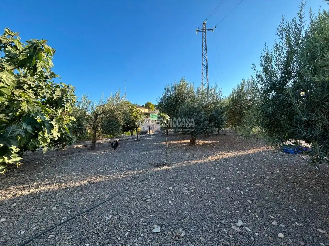 Casa rústica amb piscina en venda a LAS MONJAS, imagen 39