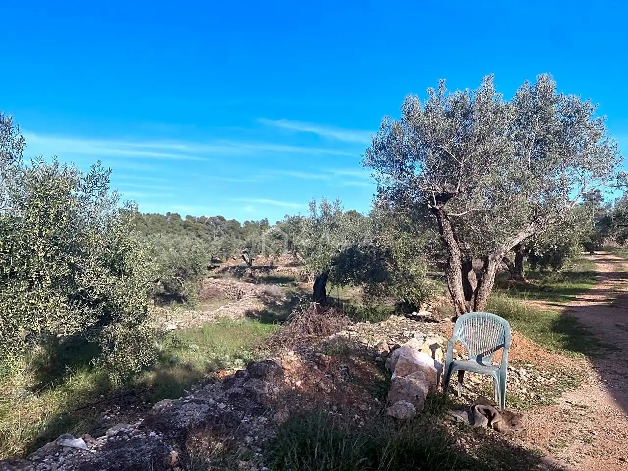 Terrain rustique à vendre à Burgà, imagen 11