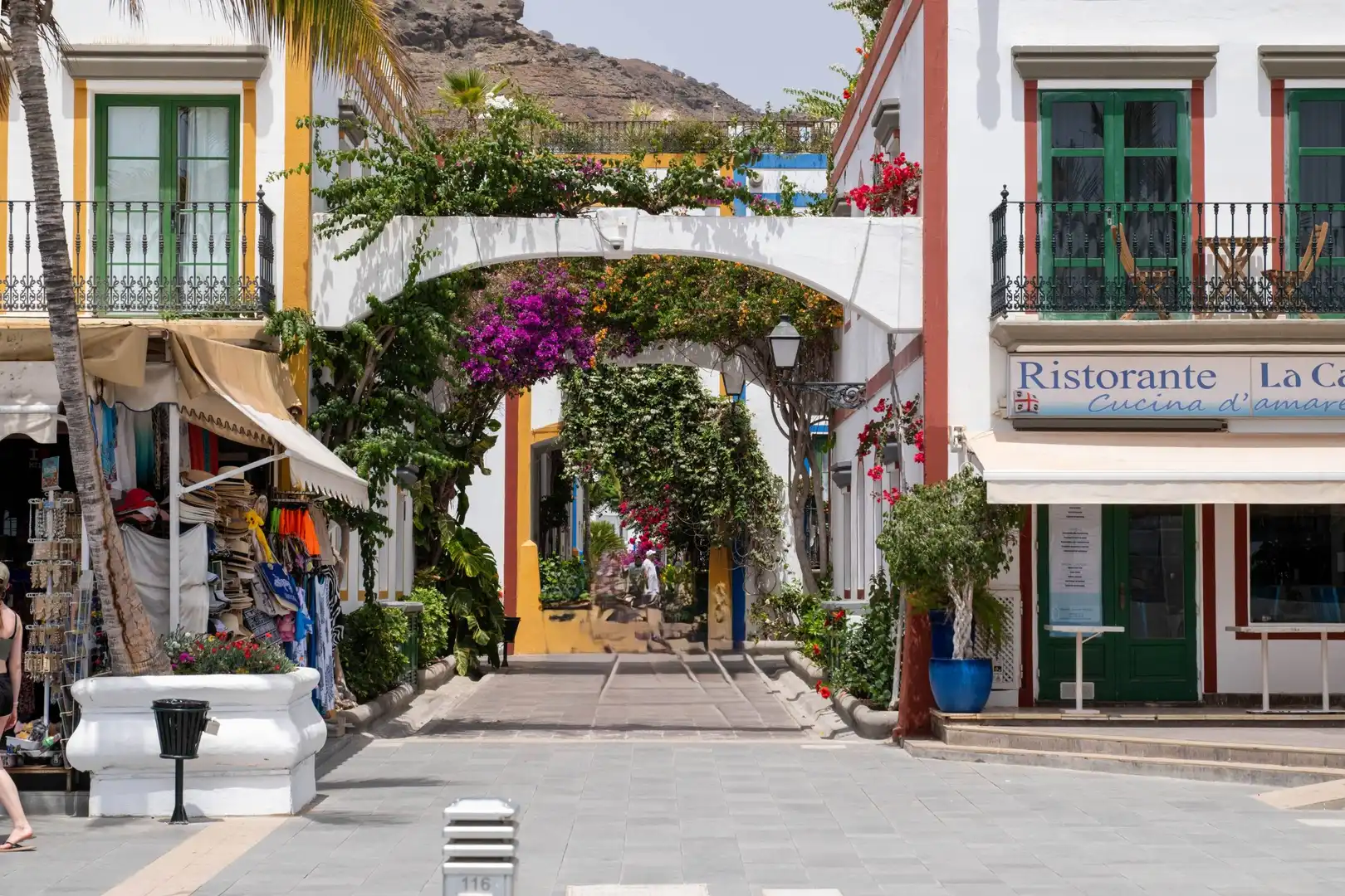 Finca rústica en venta en Playa de Mogán