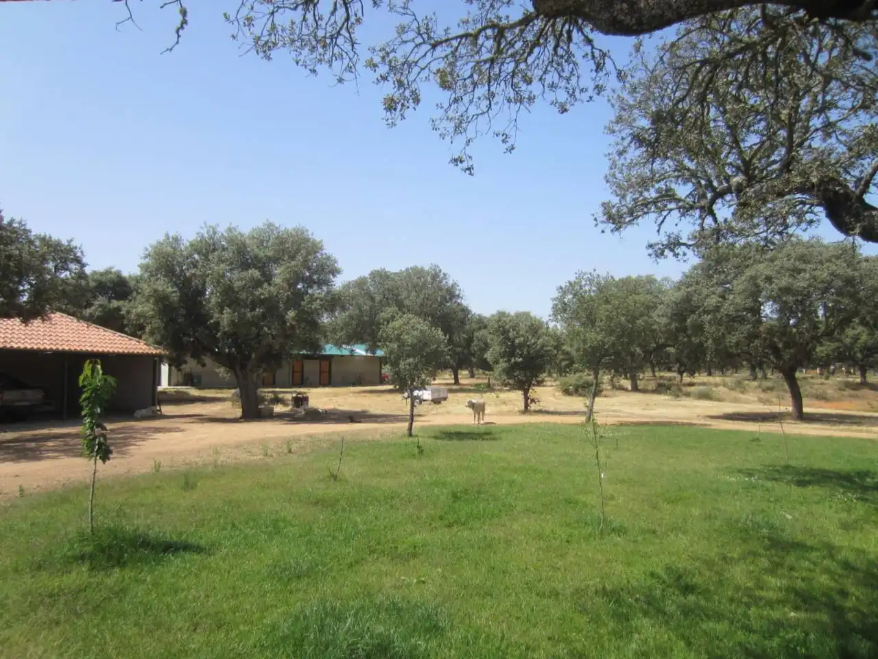 Terreno rustico in vendita a Carretera PASTORES 1, imagen 8