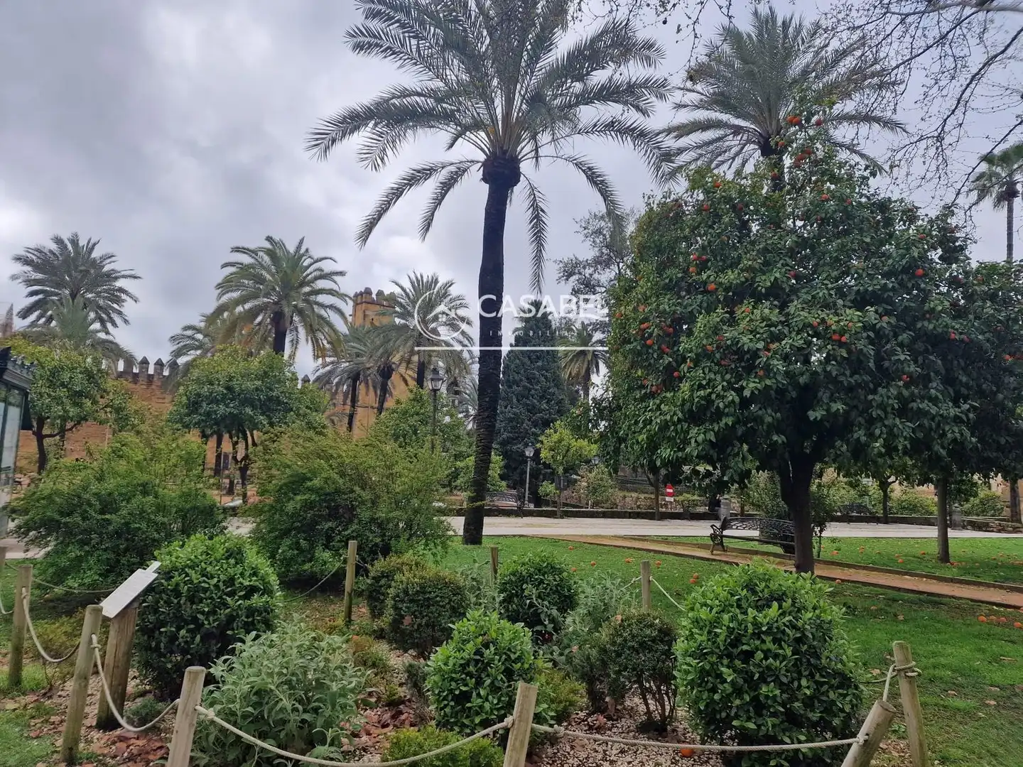 Jardín de Casa o chalet de alquiler en Córdoba con Terraza