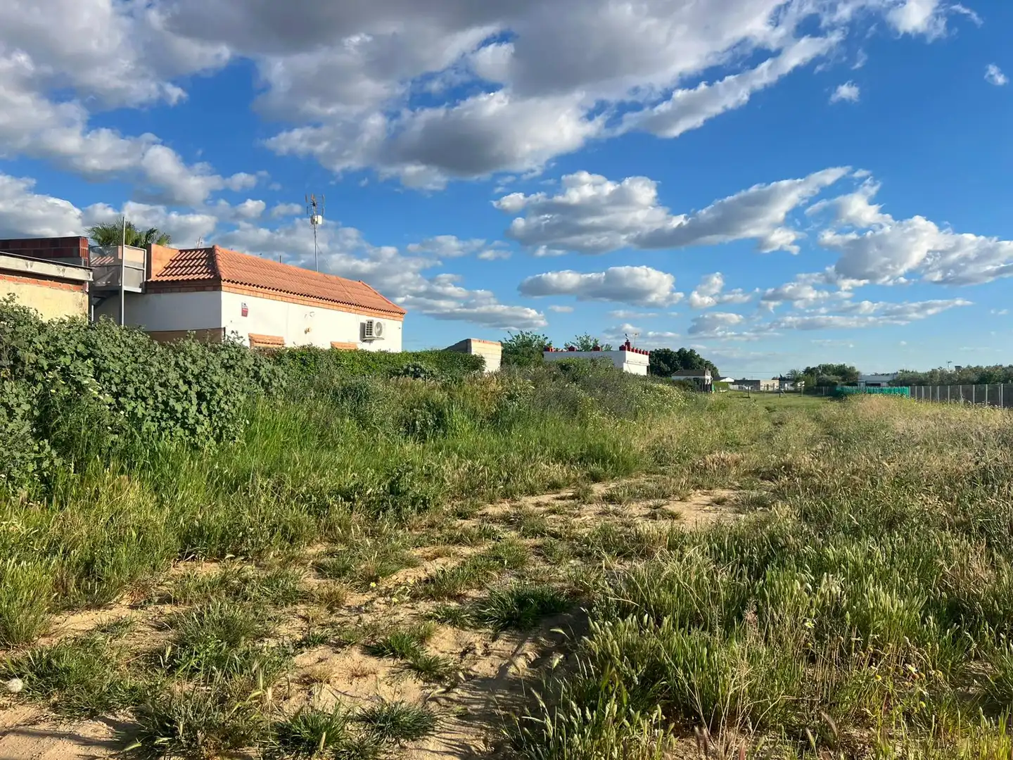 Terreny en venda en Los Palacios y Villafranca