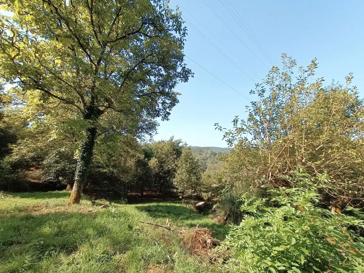 Casa o xalet en venda en Padrenda