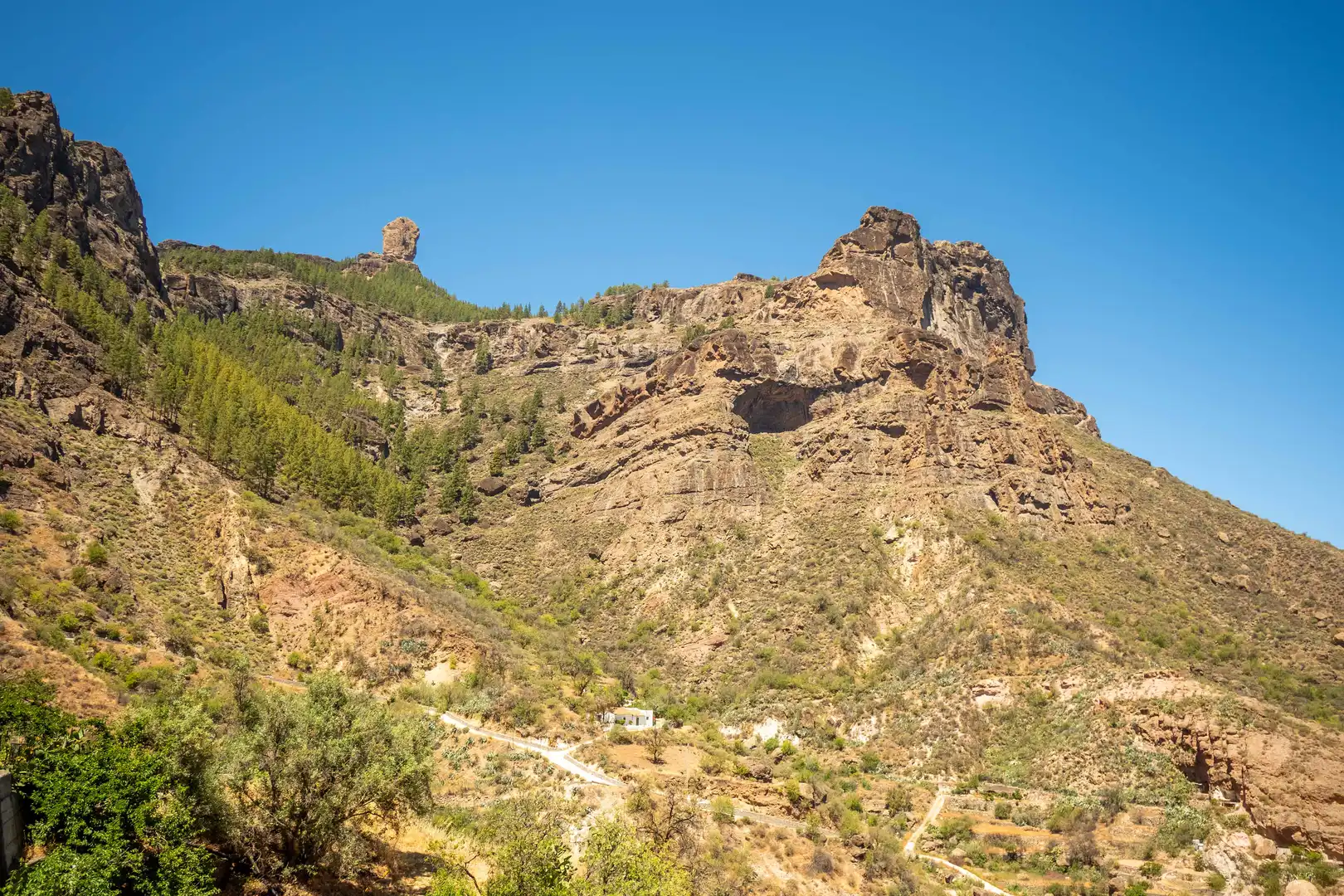 Vista exterior de Casa o chalet en venta en Tejeda con Terraza y Trastero