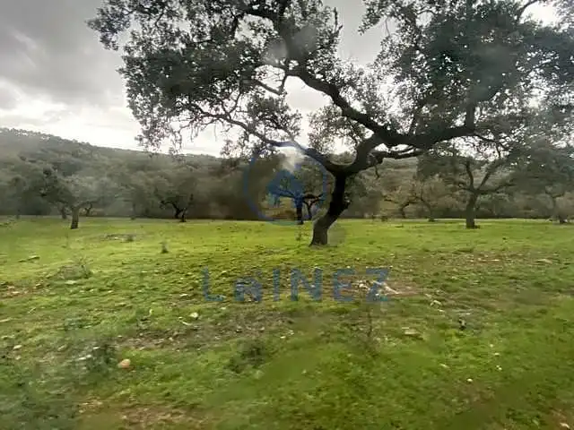 Residential land for sale in Fuente Obejuna, imagen 18