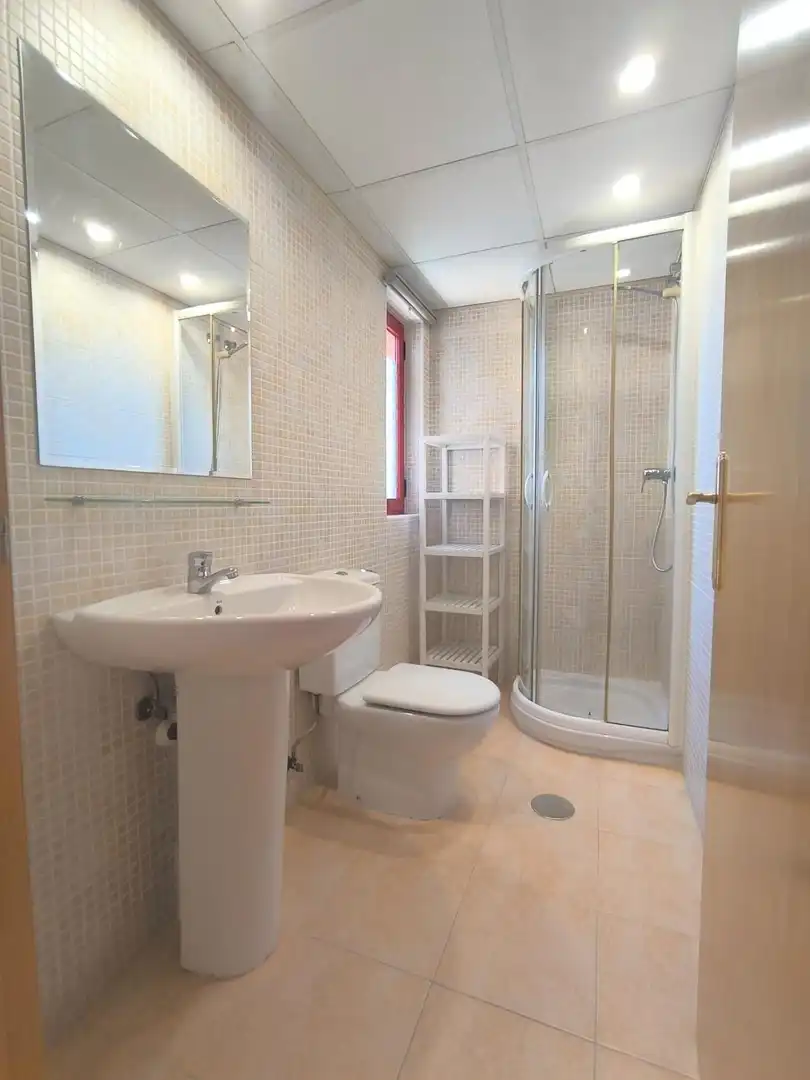 Flat for rent in JUAN CARLOS I, Juan Carlos I
