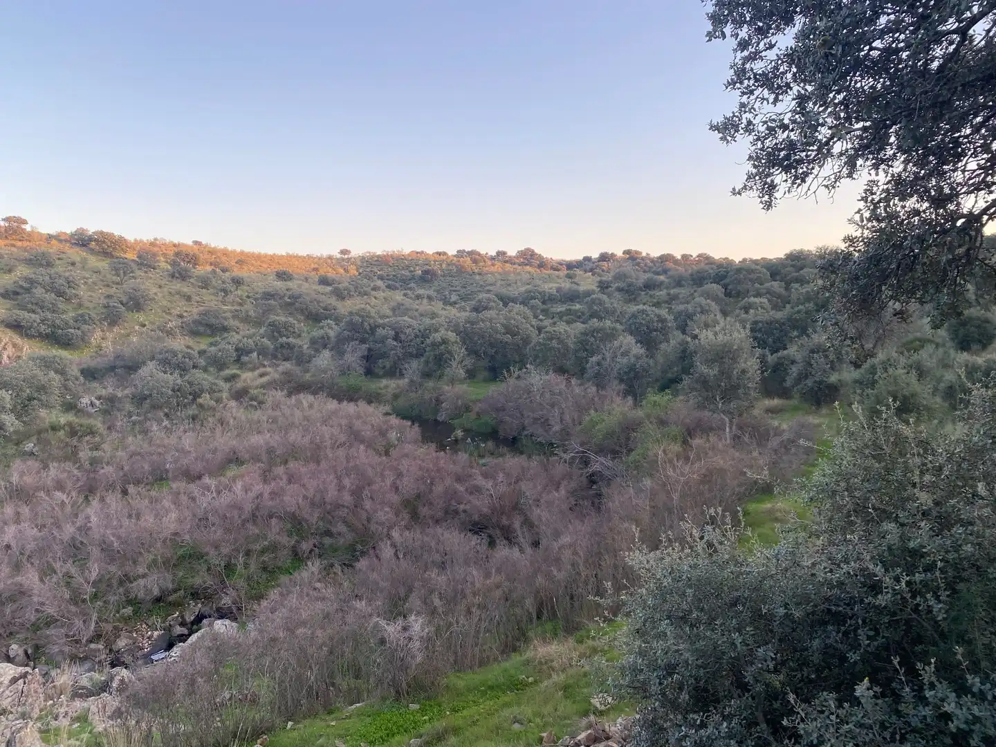 Terreni e lotti in vendita a Villar del Pedroso, imagen 11