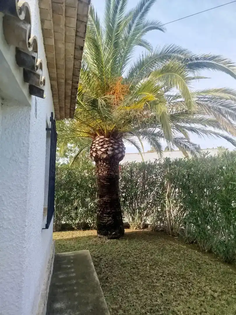 Jardín de Casa o chalet en venta en Dénia con Aire acondicionado y Balcón