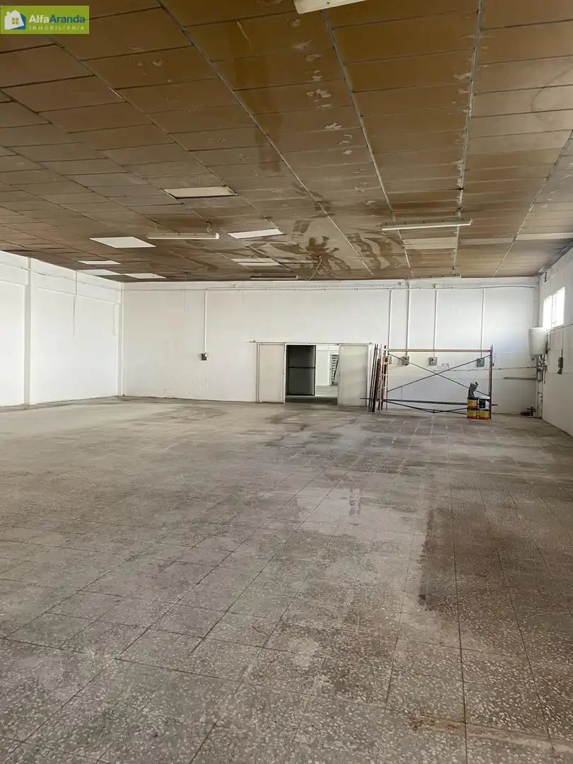 Industrial buildings for sale in Allendeduero