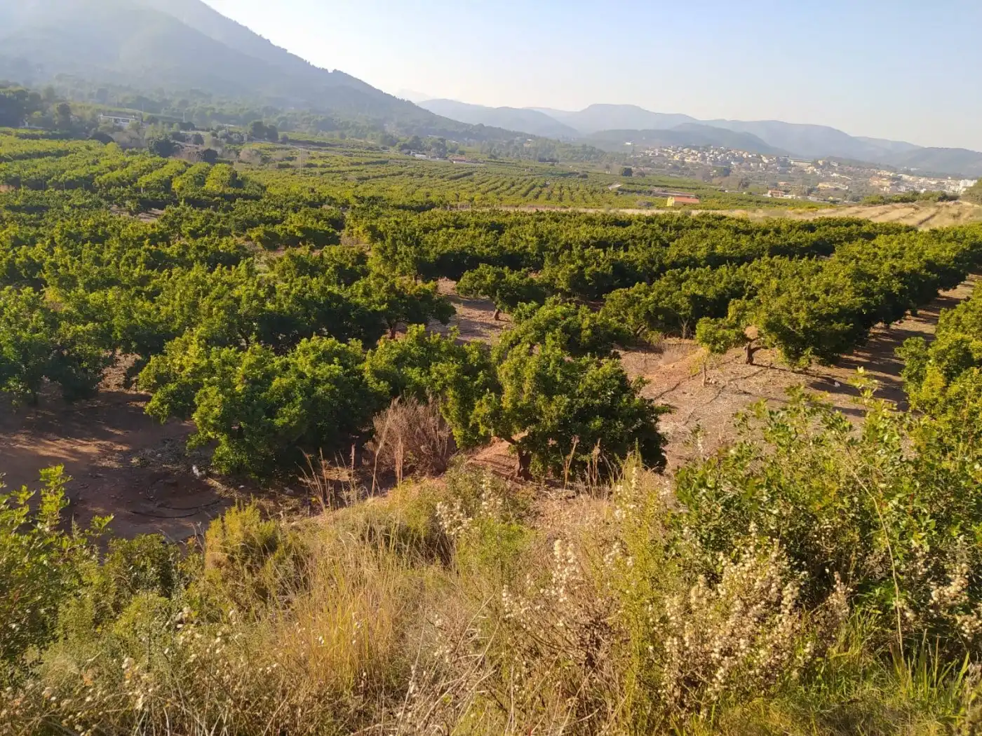 Terreno residencial en venta en Onda