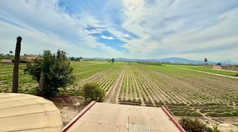 Foto 3 de Casa o xalet en venda a Montepinar - La Aparecida - Raiguero, Orihuela