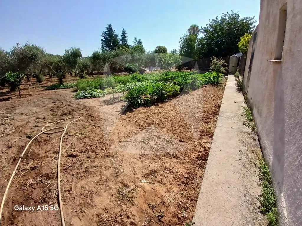 Villa avec jardin à vendre à calle del calero, imagen 32