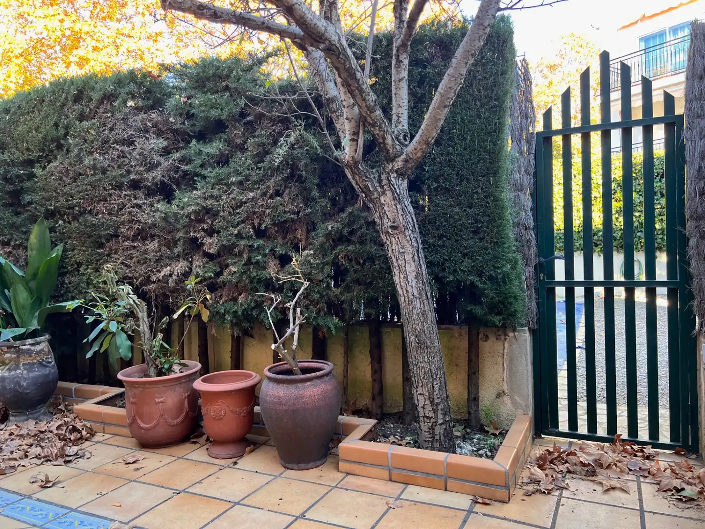 Jardí de Casa adosada en venda en Vilassar de Dalt amb Calefacció, Jardí privat i Terrassa