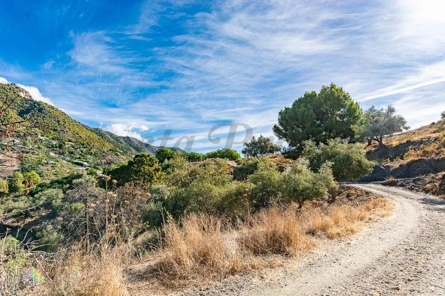 Terreno rústico en venta en Frigiliana