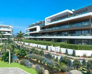 Vista exterior de Àtic en venda en Torrevieja amb Jardí privat, Terrassa i Piscina