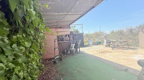 Foto 5 de Finca rústica en venta en Camino Molinera, 31, El Grao, Castellón de la Plana / Castelló de la Plana