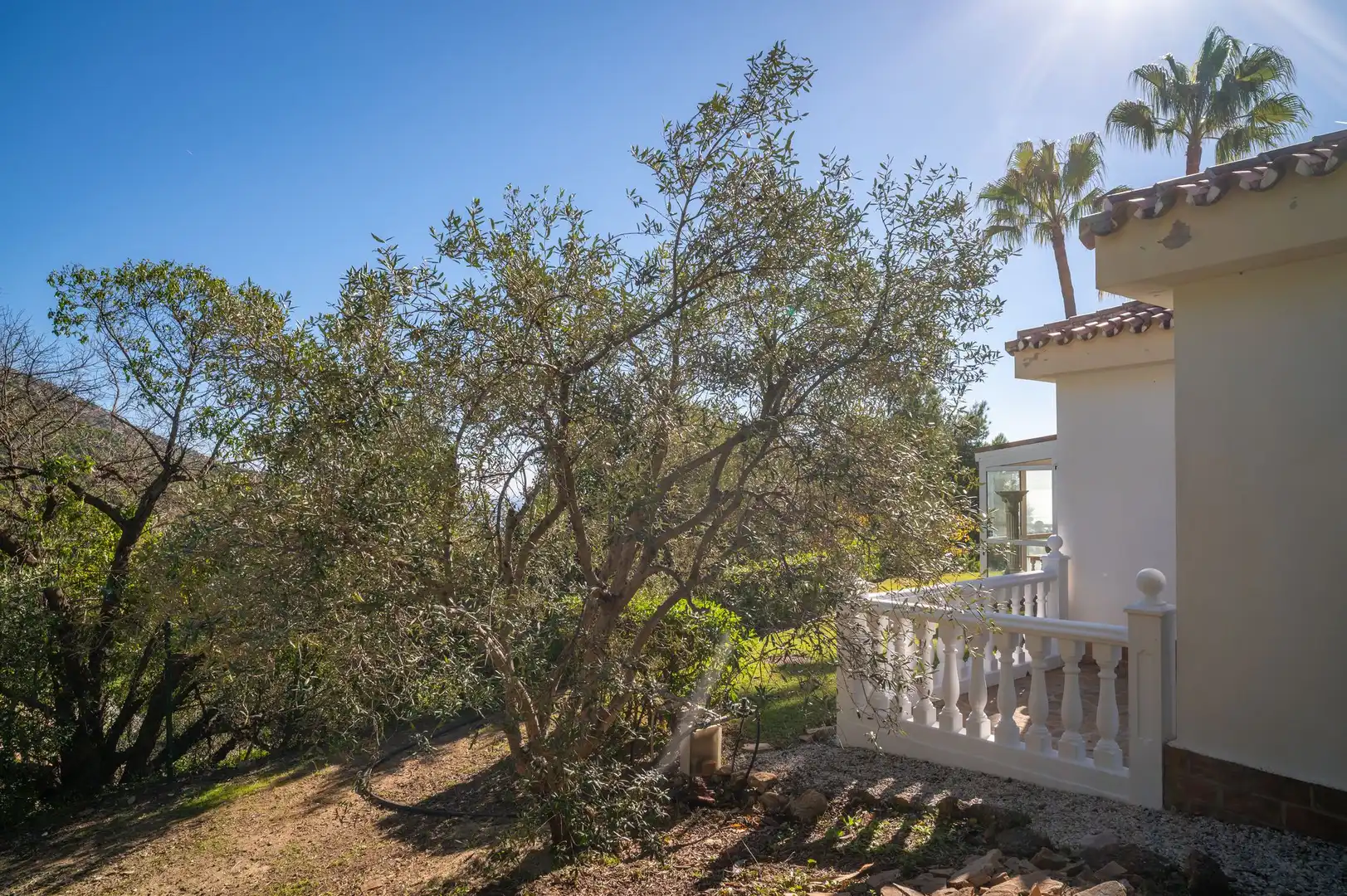 Jardí de Casa o xalet en venda en Mijas amb Terrassa