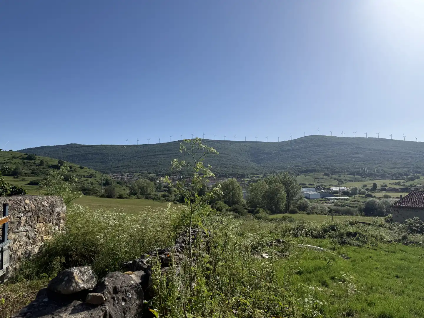 Vista exterior de Terreno en venta en Barruelo de Santullán