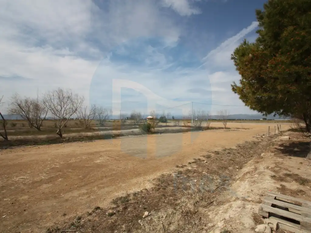 Business premises for sale in Deltebre, imagen 19