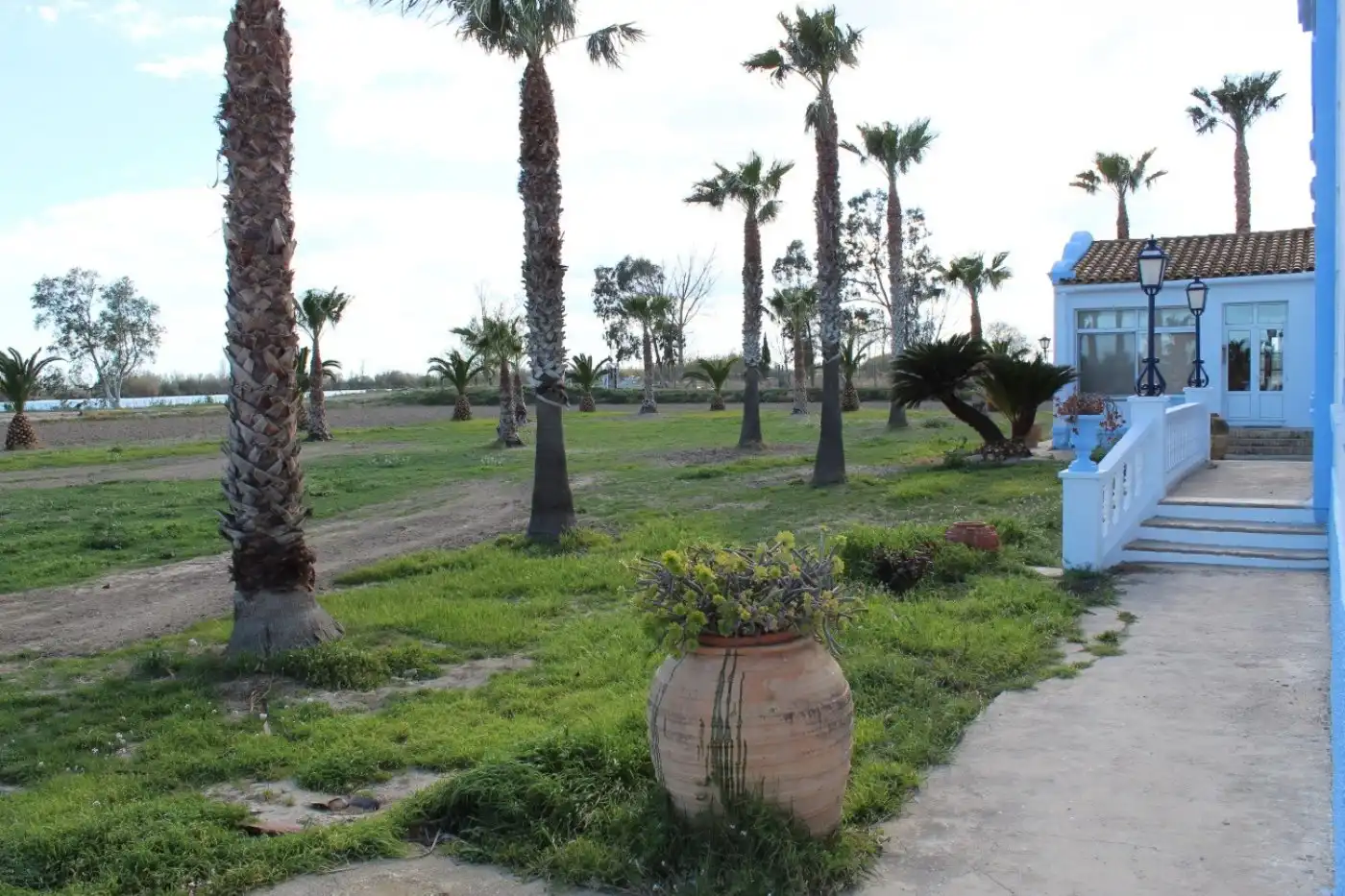 Villa avec terrasse à vendre à Deltebre, imagen 8