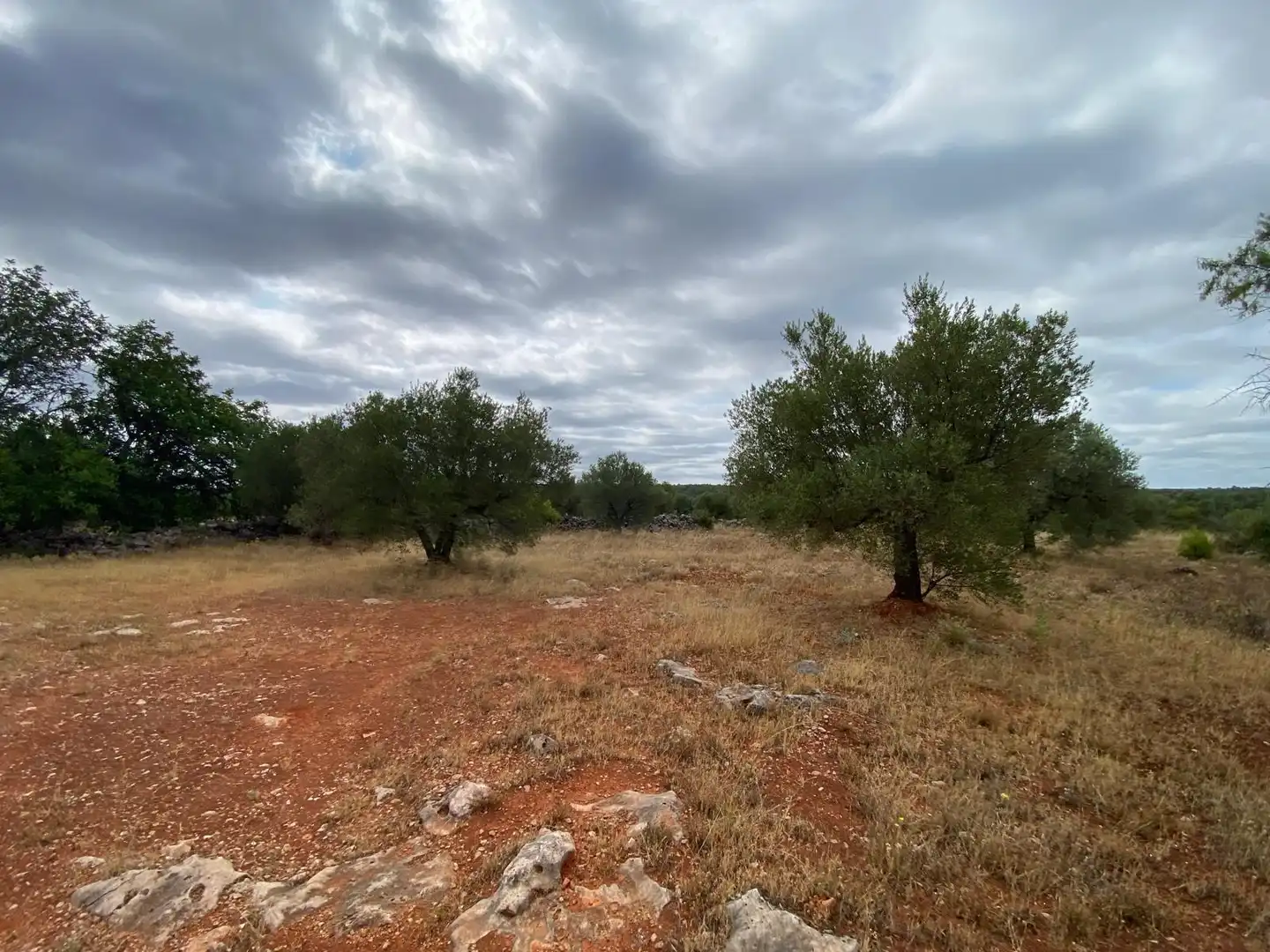 Finca rústica en venta en Bolbaite