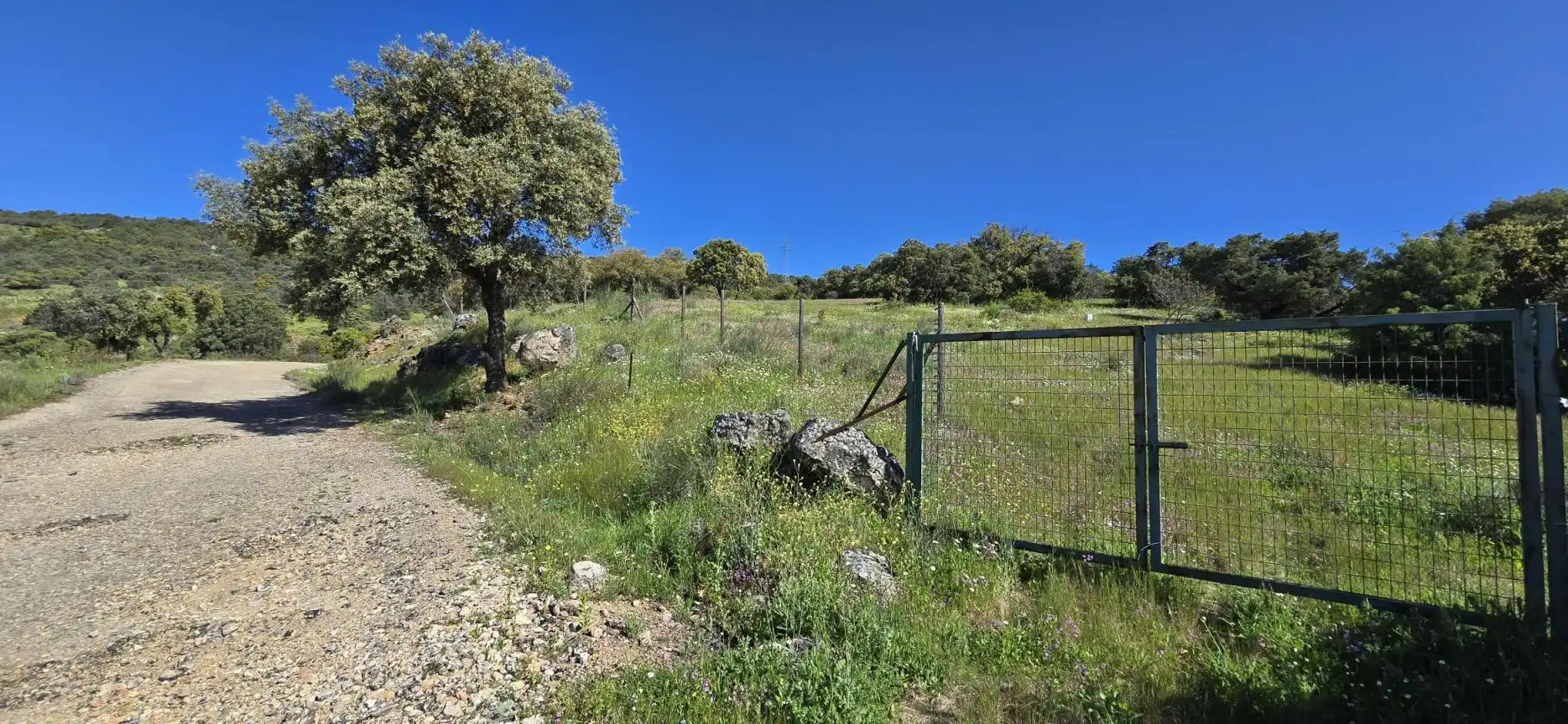 Terrenys i solars en venda a San Agustín del Guadalix pueblo, imagen 11