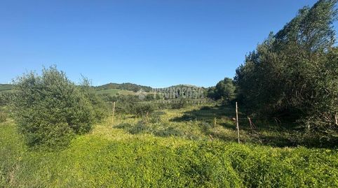 Foto 3 de Terreno en venta en Barbate ciudad, Barbate