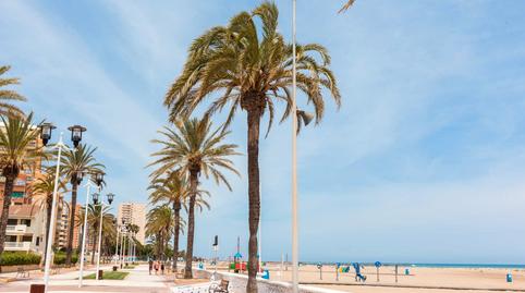 Photo 5 of Premises to rent in Pobla de Farnals, La Pobla de Farnals