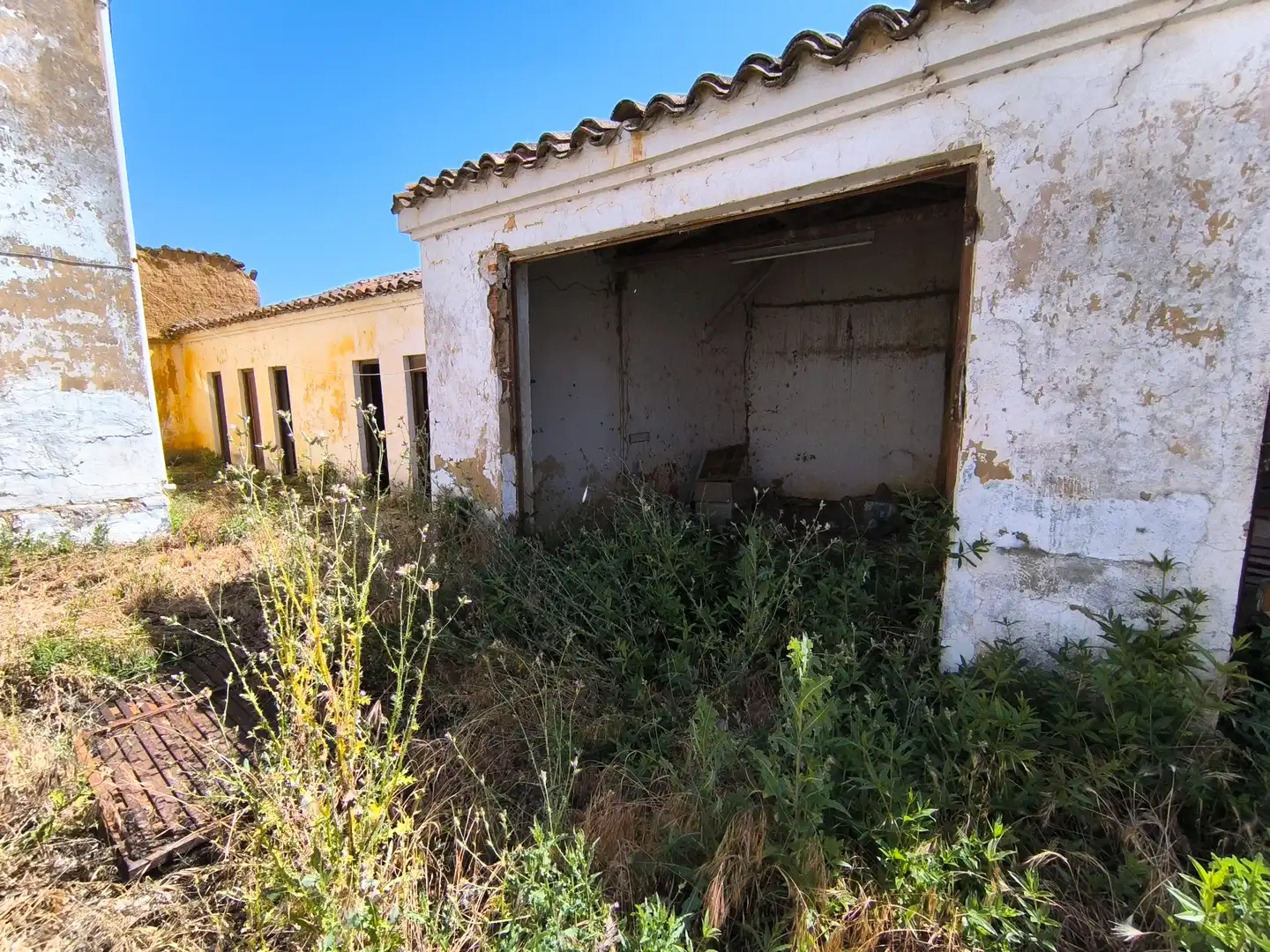 Vista exterior de Casa o xalet en venda en Meneses de Campos amb Jardí privat i Traster