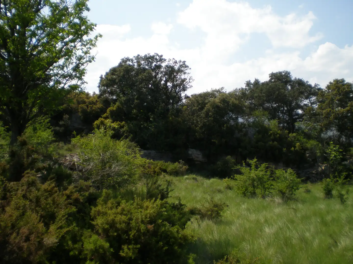 Rural land for sale in Catí, imagen 5